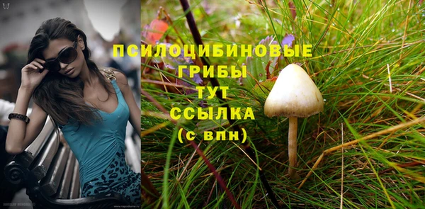 метадон Беломорск