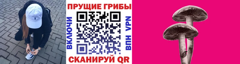 Галлюциногенные грибы прущие грибы  где можно купить   Калуга 